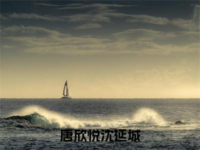 沈延城唐欣悦小说（唐欣悦沈延城）全文免费阅读无弹窗大结局_沈延城唐欣悦小说最新章节列表_笔趣阁（唐欣悦沈延城）