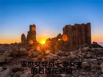 末世女穿成七零女主的白莲花继姐全文免费阅读无弹窗大结局_许七颜(末世女穿成七零女主的白莲花继姐)小说结局免费阅读（许七颜）
