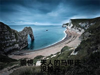 震惊，夫人的马甲还没掉完(安暖陆之宴)全文免费阅读无弹窗大结局_(安暖陆之宴免费阅读全文大结局)震惊，夫人的马甲还没掉完最新章节列表_笔趣阁（震惊，夫人的马甲还没掉完）