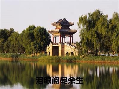 泪眼阅尽余生全文免费在线阅读_（苏心颐陆时许全文免费阅读无弹窗大结局）泪眼阅尽余生最新章节列表_笔趣阁