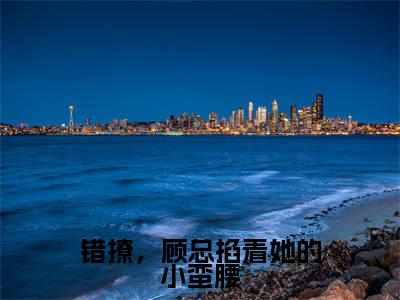 错撩，顾总掐着她的小蛮腰阅读无弹窗大结局_顾寒升杨念念穿越小说免费阅读_笔趣阁
