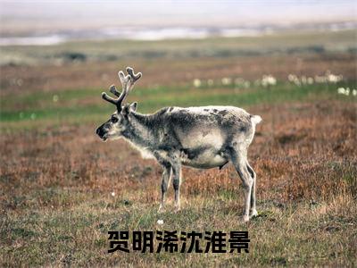 沈淮景贺明浠（沈淮景贺明浠）小说全文免费阅读正版无弹窗_贺明浠沈淮景小说免费阅读全文无弹窗_笔趣阁