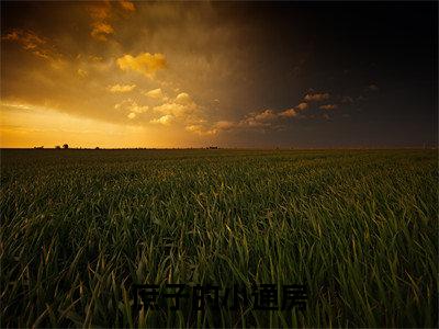 庶子的小通房是什么小说-（ 苏清婉林冷殇）庶子的小通房无弹窗免费阅读大结局最新章节列表_笔趣阁