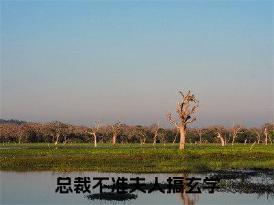 总裁不准夫人搞玄学新书热荐免费小说林翩翩陆令全文完整版-林翩翩陆令知乎小说