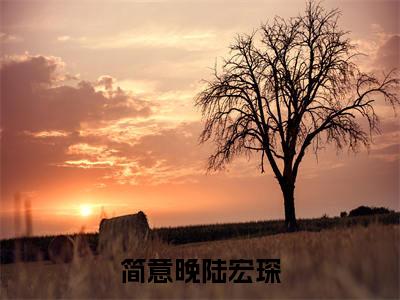 陆宏琛简意晚小说（简意晚陆宏琛）全文免费阅读无弹窗大结局_简意晚陆宏琛小说最新章节列表_笔趣阁