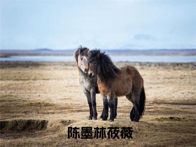 趁商业女王青涩，我要压她一筹！小说全文大结局-趁商业女王青涩，我要压她一筹！（ 陈墨林莜薇）小说全文免费阅读