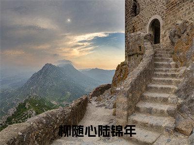 柳随心陆锦年小说全文(陆锦年柳随心)免费阅读全文无弹窗大结局_ 陆锦年柳随心免费阅读无弹窗小说_笔趣阁
