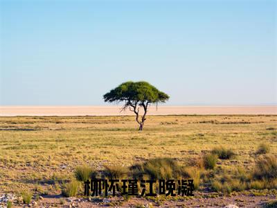 柳怀瑾江晚凝江晚凝柳怀瑾小说全文免费阅读无弹窗大结局_柳怀瑾江晚凝（江晚凝柳怀瑾）最新章节列表笔趣阁