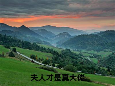 夫人才是真大佬，总裁甘愿做她裙下臣( 景策黎燕姝)全文免费阅读大结局_夫人才是真大佬，总裁甘愿做她裙下臣全文在线完本阅读