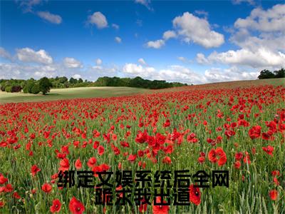 绑定文娱系统后全网跪求我出道(林苏小说)全文免费阅读无弹窗大结局_林苏小说免费阅读最新章节列表_笔趣阁（绑定文娱系统后全网跪求我出道小说）