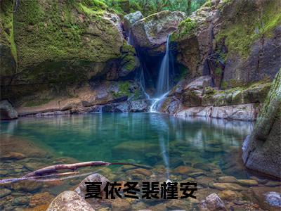 夏依冬裴槿安裴槿安夏依冬是什么小说-夏依冬裴槿安全文免费阅读无弹窗大结局（裴槿安夏依冬）最新章节列表在线阅读