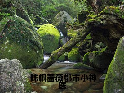 都市小神医已完结小说全集阅读（ 陈帆蔷薇完整版大结局）都市小神医小说全文阅读笔趣阁