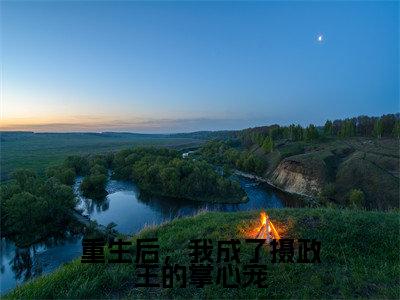 林若幽萧晟是什么小说-小说重生后，我成了摄政王的掌心宠全文阅读