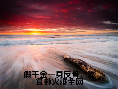 （慕楚沈轻小说完整版）假千金一身反骨，靠算卦火爆全网全文免费阅读-（假千金一身反骨，靠算卦火爆全网）慕楚沈轻小说最新章节列表