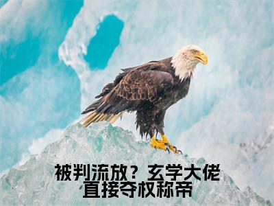 谢绾宁萧景衡全文免费阅读大结局-被判流放？玄学大佬直接夺权称帝完整版无弹窗