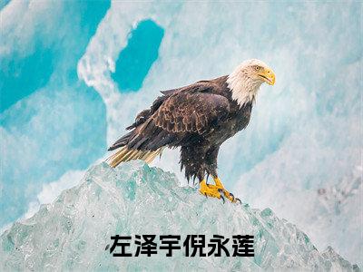 左泽宇倪永莲（倪永莲左泽宇）完整版全文在线赏析-左泽宇倪永莲精彩美文摘抄