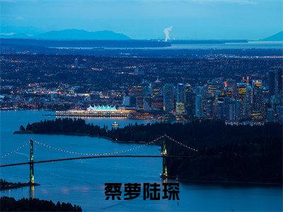 蔡萝陆琛小说（陆琛蔡萝)全文免费阅读无弹窗大结局_蔡萝陆琛完整版最新阅读_笔趣阁（陆琛蔡萝）