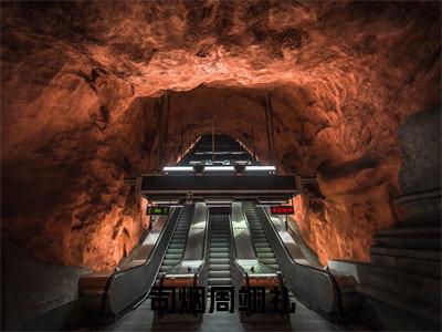 2023年精选热门司烟周翊礼全文无删减版在线阅读