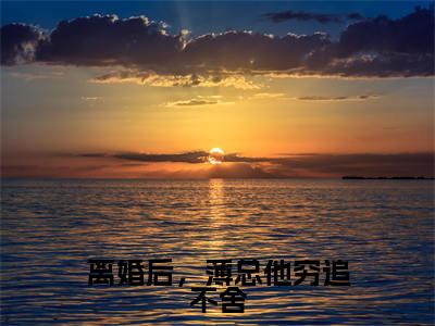 离婚后，薄总他穷追不舍热推新书小说全文（薄昀泽秦枝）全文免费阅读_离婚后，薄总他穷追不舍最新章节无弹窗阅读