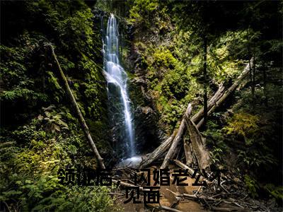 莫菲菲楚风城（领证后，闪婚老公不见面）是什么小说_主角是（莫菲菲楚风城）的小说（领证后，闪婚老公不见面）最新章节无弹窗阅读