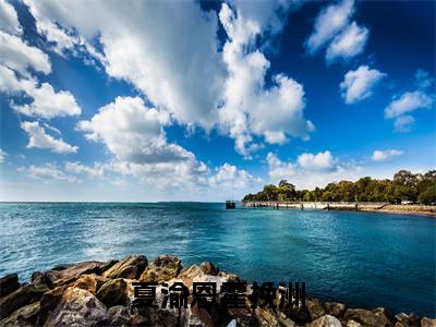夏渝恩霍挽洲全文免费阅读大结局_霍挽洲夏渝恩已完结全集夏渝恩霍挽洲大结局小说