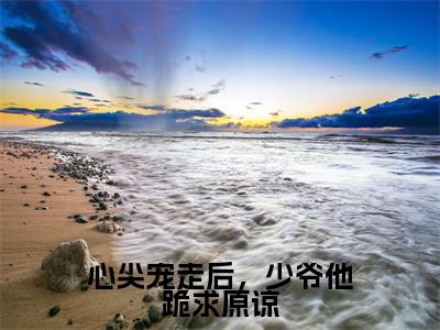 心尖宠走后，少爷他跪求原谅(韩祈岑汐柚)全文免费阅读无弹窗大结局_(心尖宠走后，少爷他跪求原谅)最新章节列表_韩祈岑汐柚