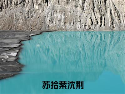 苏拾萦沈荆是什么小说-沈荆苏拾萦全文免费阅读无弹窗大结局（苏拾萦沈荆）最新章节阅读