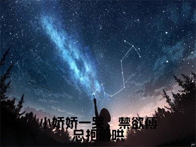 傅御琛林双小娇娇一哭，禁欲傅总抱着哄小说全文无广告阅读-傅御琛林双小说赏析小娇娇一哭，禁欲傅总抱着哄