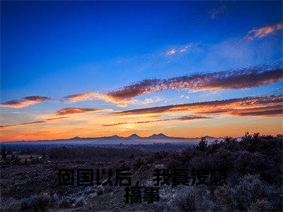 王天全文免费阅读-回国以后，我真没想搞事最新章节小说免费阅读