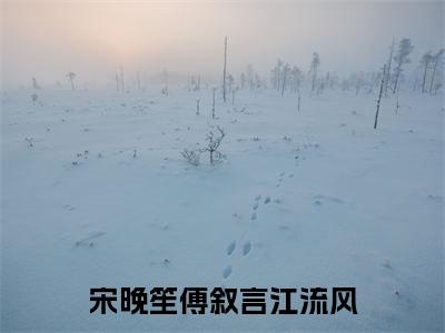 宋晚笙傅叙言江流风精彩章节在线阅读_傅叙言江流风宋晚笙免费观看（宋晚笙傅叙言江流风）完结版_笔趣阁（傅叙言江流风宋晚笙）