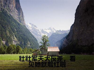 小说徐娇秦峰（壮壮军夫太反差，看见她就脸红啦小说免费阅读）完结阅读，徐娇秦峰在线阅读