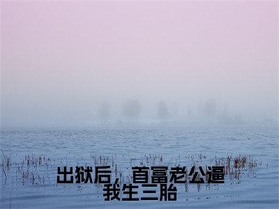 出狱后，首富老公逼我生三胎小说全文免费阅读（宋欢傅辰年）全文免费宋欢傅辰年读无弹窗大结局出狱后，首富老公逼我生三胎