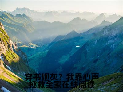 小说（穿书炮灰？我靠心声拯救全家）在线赏析_ 陆朝朝远泽txt小说在线阅读笔趣阁