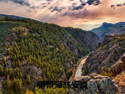 小说（秦景泽林安岚）林安岚秦景泽精选片段阅读-小说林安岚秦景泽免费版最新更新阅读