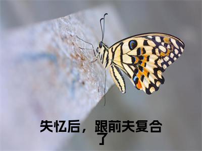 失忆后，跟前夫复合了小说（尹秋月孟嘉令）全文免费失忆后，跟前夫复合了阅读无弹窗大结局-（尹秋月孟嘉令）笔趣阁