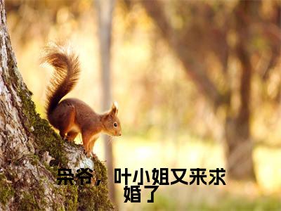 秦枭叶星(枭爷，叶小姐又来求婚了)全文免费阅读无弹窗大结局_(秦枭叶星)枭爷，叶小姐又来求婚了小说在线阅读无删减