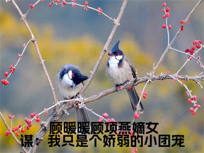 嫡女谋：我只是个娇弱的小团宠全文免费阅读（ 顾暖暖顾项燕）全文免费阅读大结局_嫡女谋：我只是个娇弱的小团宠全文免费阅读无弹窗_笔趣阁（ 顾暖暖顾项燕）