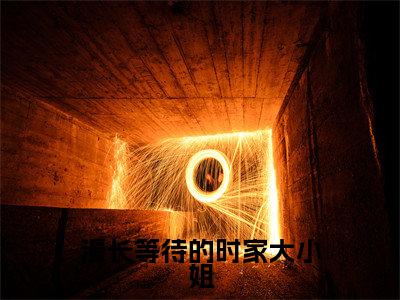 漫长等待的时家大小姐（时研赵寒迟）全文免费阅读无弹窗大结局_漫长等待的时家大小姐最新章节列表-笔趣阁时研赵寒迟