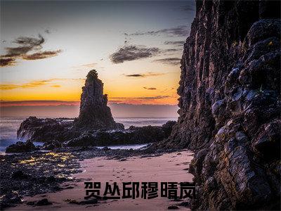 穆晴岚贺丛邱（贺丛邱穆晴岚）全文免费阅读无弹窗大结局_贺丛邱穆晴岚完整版小说阅读（穆晴岚贺丛邱）