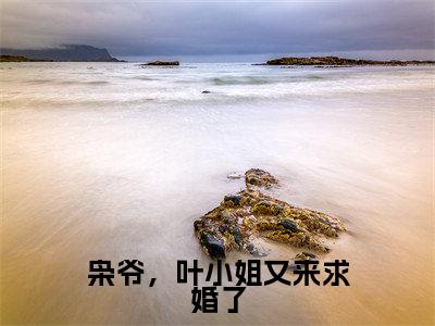 秦枭叶星小说免费阅读（秦枭叶星）全文免费阅读无弹窗大结局_枭爷，叶小姐又来求婚了小说免费阅读最新章节列表_笔趣阁（枭爷，叶小姐又来求婚了）