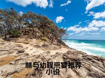 合约情人：霸总缠着索情林与幼程京宴: 林与幼程京宴（ 林与幼程京宴）全文免费阅读无弹窗大结局_合约情人：霸总缠着索情林与幼程京宴: 林与幼程京宴免费阅读