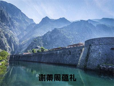 谢蓁周蕴礼小说（周蕴礼谢蓁）全文免费阅读无弹窗大结局_谢蓁周蕴礼最新章节在线阅读_笔趣阁