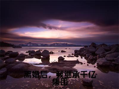 陈北小说（离婚后，我继承千亿集团）全文免费阅读无弹窗大结局_陈北（离婚后，我继承千亿集团）最新章节列表-笔趣阁（离婚后，我继承千亿集团）