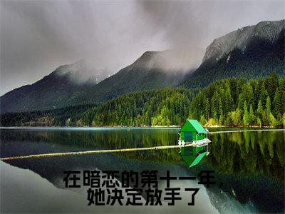 在暗恋的第十一年，她决定放手了小说（阮小舟明槐）全文免费阅读无弹窗大结局_ (阮小舟明槐免费阅读)最新章节列表_笔趣阁（阮小舟明槐）