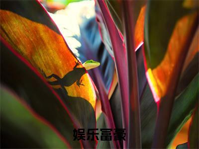 小说娱乐富豪免费阅读-（林潇）全文无弹窗阅读