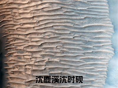 沈时砚沈鹿溪(沈鹿溪沈时砚)全文免费阅读无弹窗大结局_(沈时砚沈鹿溪)沈鹿溪沈时砚小说在线阅读无删减