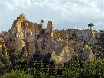 愿你我天各一方，永不相逢在线阅读无弹窗_沈悠悠君莫庭最新章节列表_笔趣阁