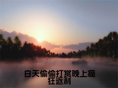 白天偷偷打赏晚上疯狂返利全本资源免费阅读结局无删节主角：范可情小说全文阅读无弹窗