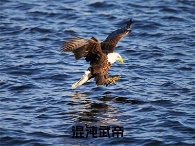 混沌武帝（苏尘）精选好书-苏尘无删减版在线阅读（苏尘全文免费阅读）