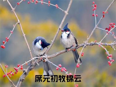 席元初牧锦云全文免费阅读无弹窗大结局_（牧锦云席元初）牧锦云席元初最新章节列表_笔趣阁